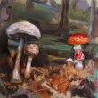 Champignons - Huile sur toile, 30 x 30 cm, 2013.
Collection privée, Sozopol, Bulgarie.